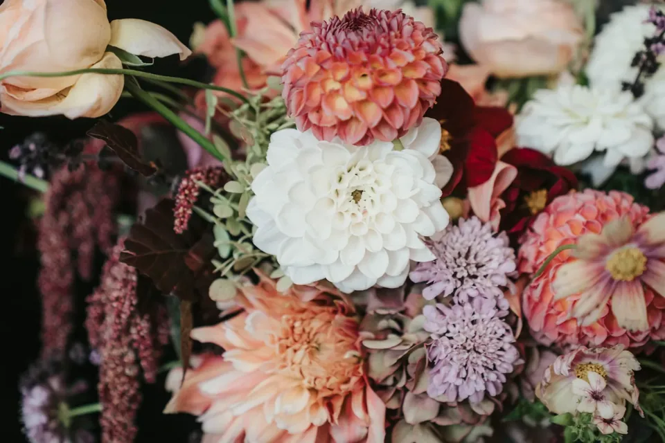 Dolomites Elopement with Three Locations